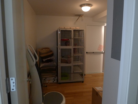 Enlarge photo 8