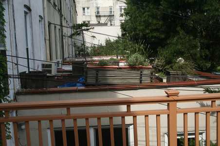 Enlarge photo 32