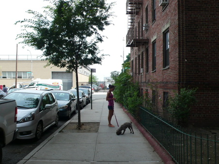 Enlarge photo 12
