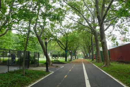 Enlarge photo 11