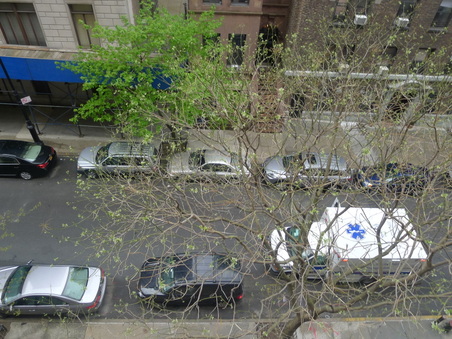 Enlarge photo 55