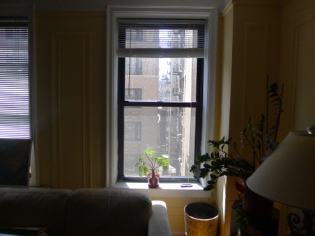 Enlarge photo 13