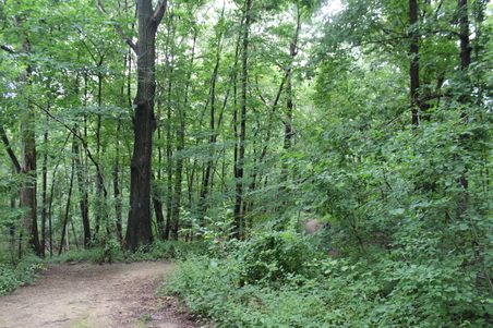 Enlarge photo 13
