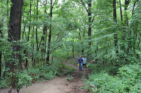 Enlarge photo 12
