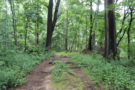 Enlarge photo 11