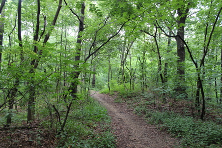 Enlarge photo 10