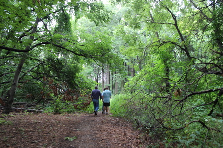 Enlarge photo 6