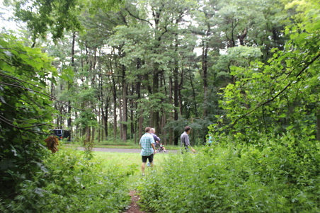 Enlarge photo 5
