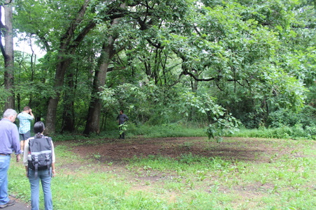 Enlarge photo 2