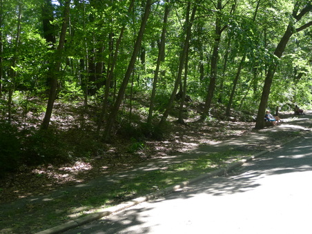 Enlarge photo 36