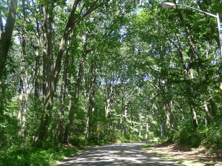 Enlarge photo 39