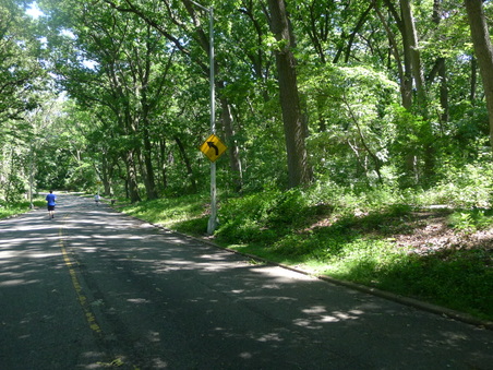 Enlarge photo 48