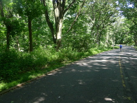 Enlarge photo 49