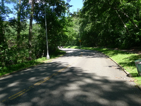 Enlarge photo 52