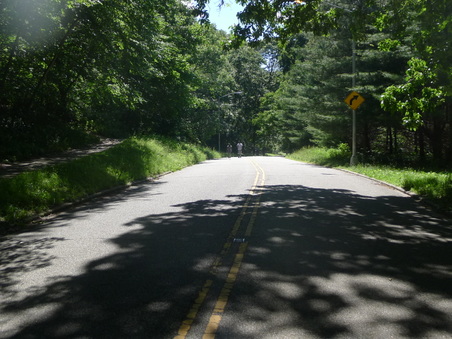 Enlarge photo 57