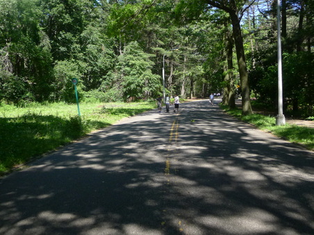 Enlarge photo 58