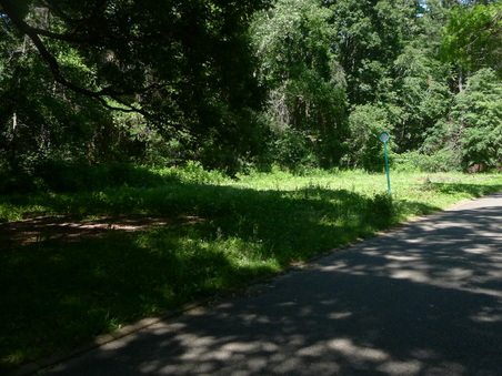 Enlarge photo 59