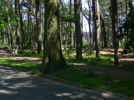 Enlarge photo 61