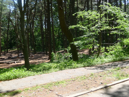 Enlarge photo 65