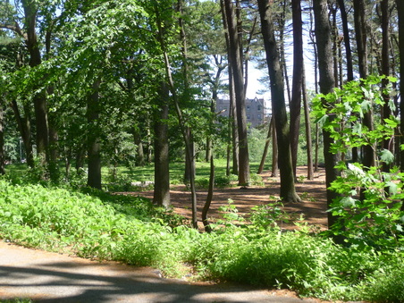 Enlarge photo 66