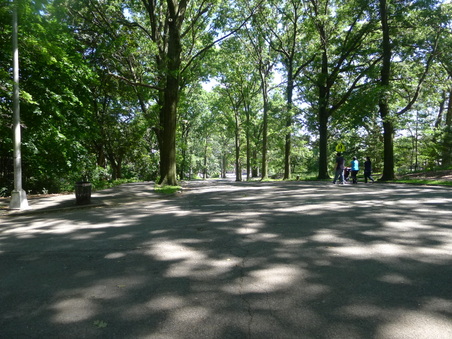 Enlarge photo 69