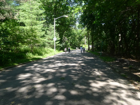 Enlarge photo 89