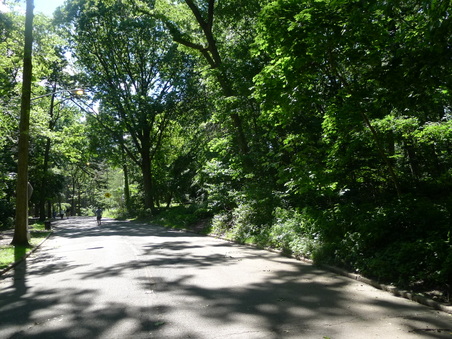 Enlarge photo 91