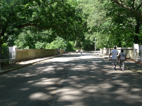 Enlarge photo 98