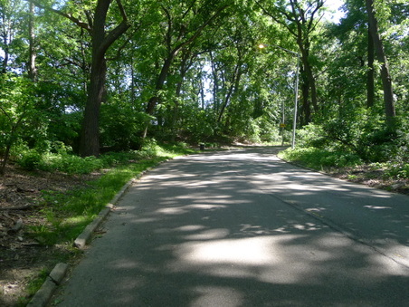 Enlarge photo 138