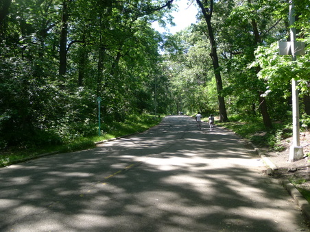 Enlarge photo 139