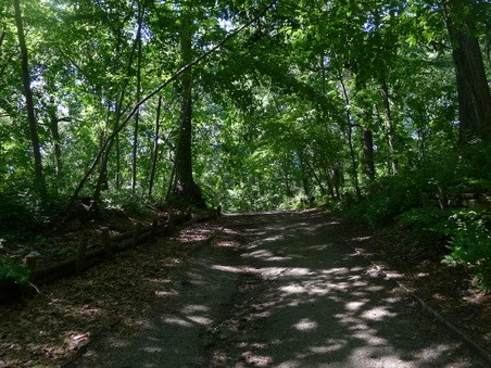 Enlarge photo 104