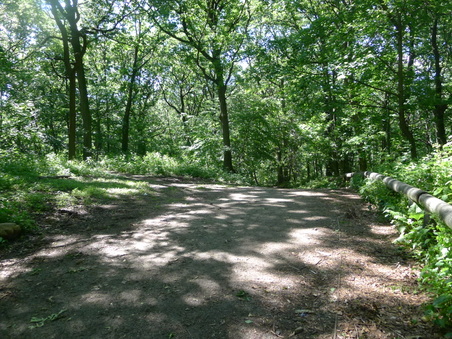 Enlarge photo 106