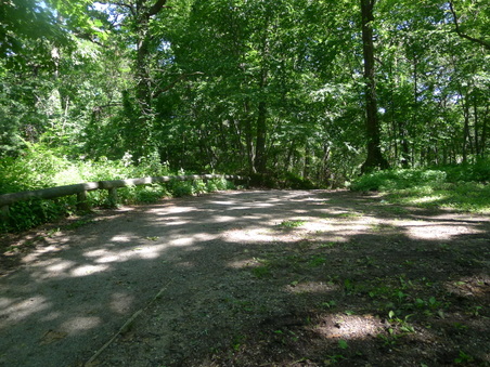 Enlarge photo 107