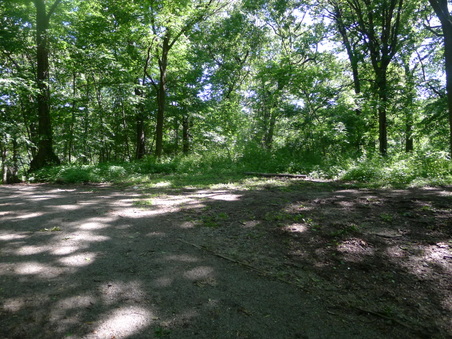 Enlarge photo 108