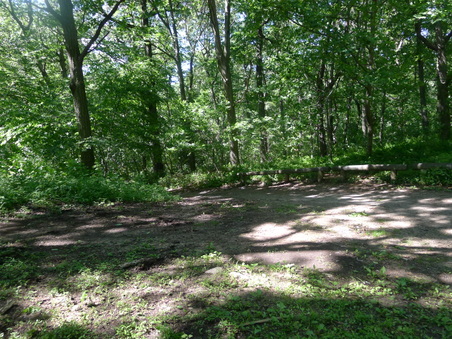 Enlarge photo 109