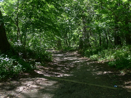 Enlarge photo 110