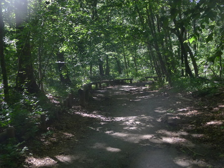 Enlarge photo 111