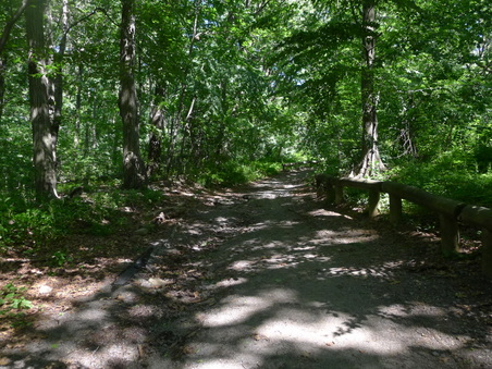 Enlarge photo 112