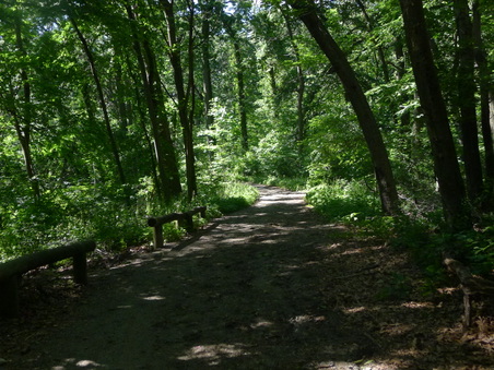 Enlarge photo 113