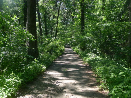 Enlarge photo 115