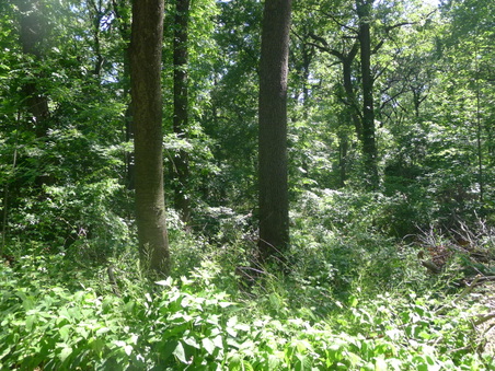 Enlarge photo 117