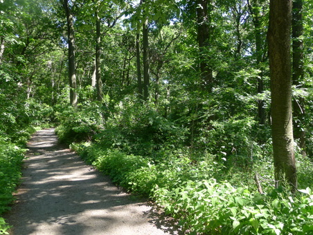 Enlarge photo 118