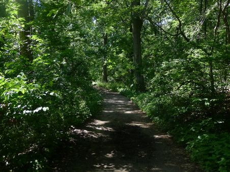 Enlarge photo 120
