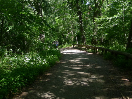 Enlarge photo 122