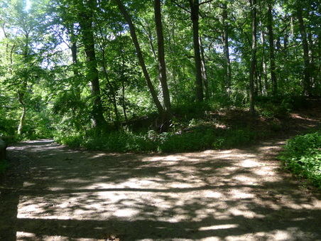 Enlarge photo 124