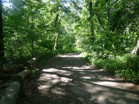 Enlarge photo 126
