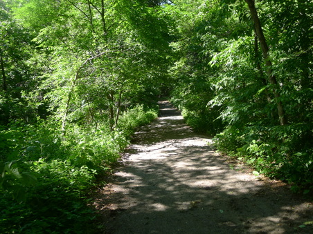 Enlarge photo 127