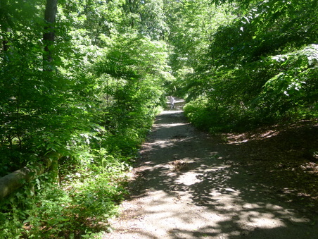 Enlarge photo 128