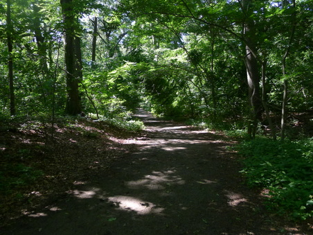 Enlarge photo 129