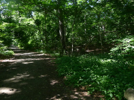 Enlarge photo 130